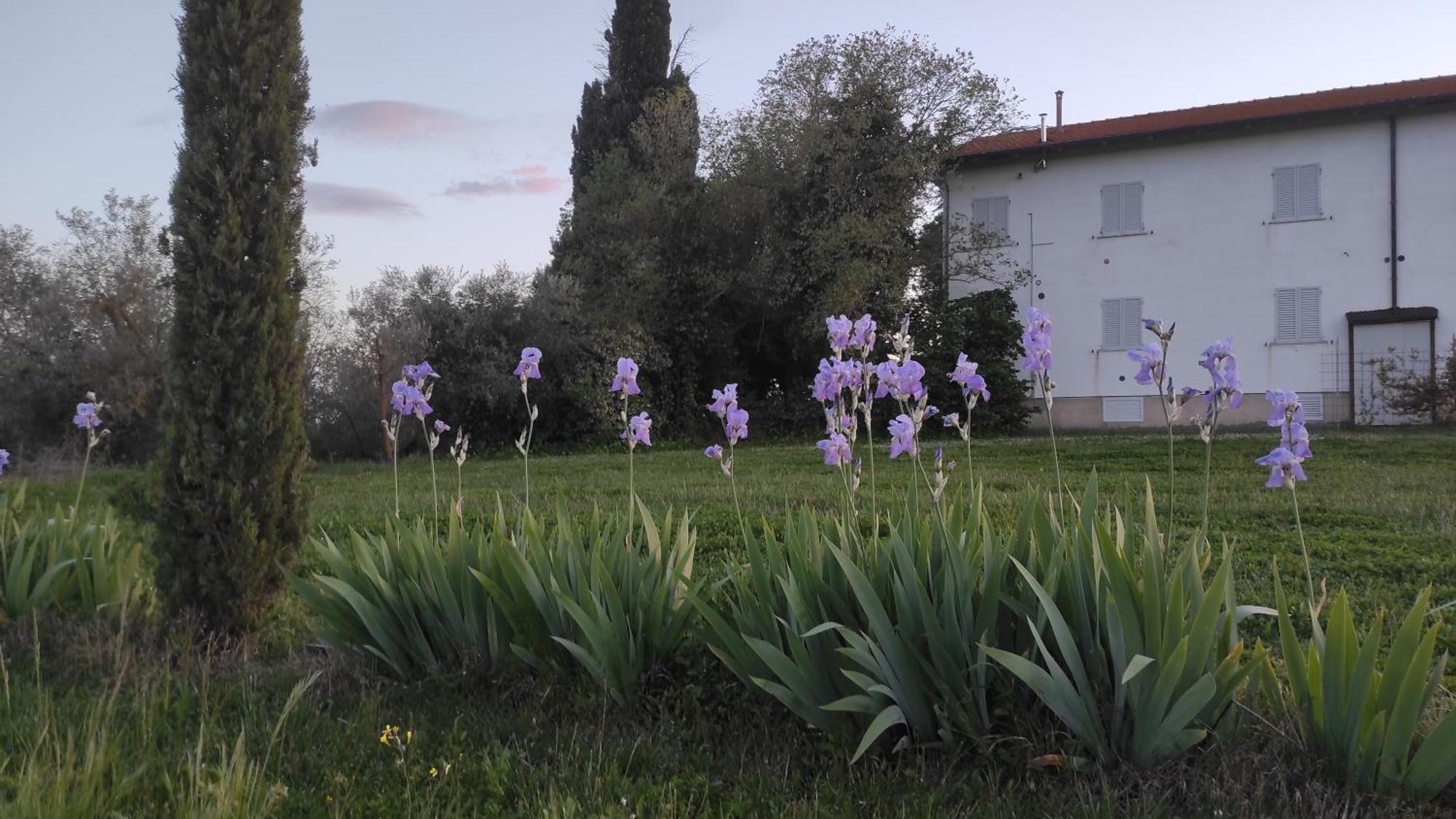 Borgo Iris Villa Pietraia ภายนอก รูปภาพ