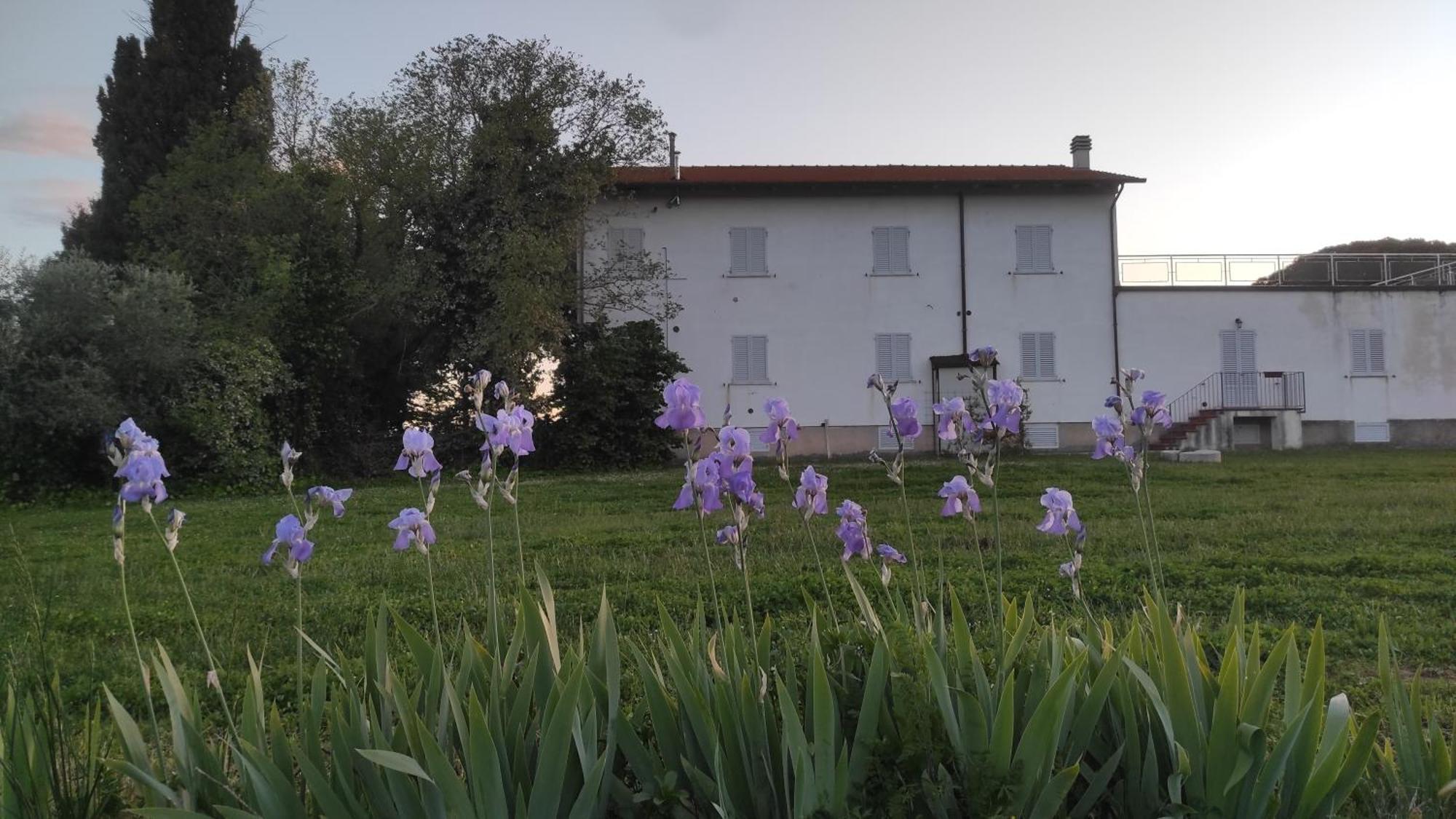 Borgo Iris Villa Pietraia ภายนอก รูปภาพ