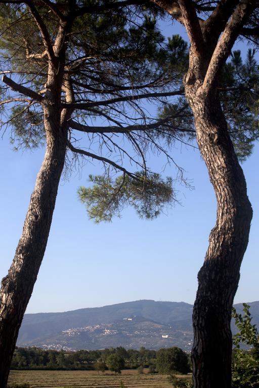 Borgo Iris Villa Pietraia ภายนอก รูปภาพ